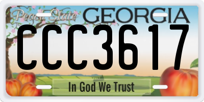 GA license plate CCC3617
