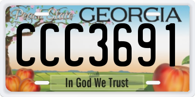GA license plate CCC3691
