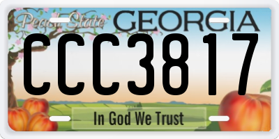 GA license plate CCC3817