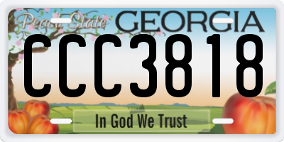 GA license plate CCC3818