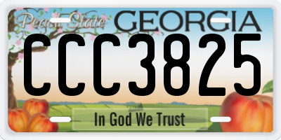 GA license plate CCC3825