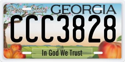 GA license plate CCC3828