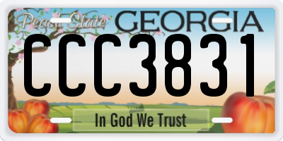 GA license plate CCC3831