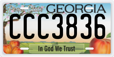 GA license plate CCC3836
