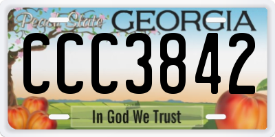GA license plate CCC3842