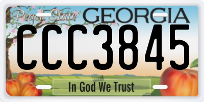 GA license plate CCC3845