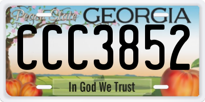 GA license plate CCC3852