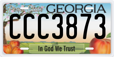 GA license plate CCC3873
