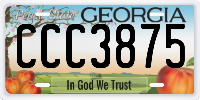 GA license plate CCC3875