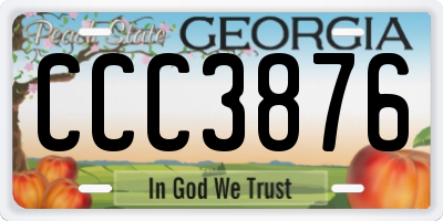 GA license plate CCC3876