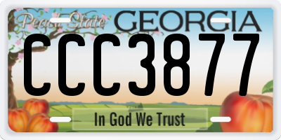 GA license plate CCC3877