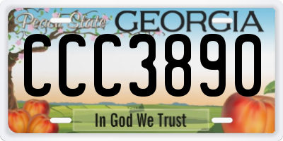 GA license plate CCC3890