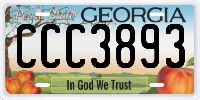 GA license plate CCC3893