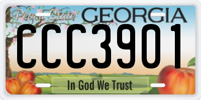 GA license plate CCC3901