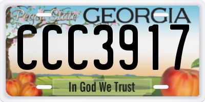 GA license plate CCC3917