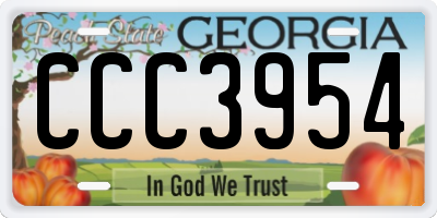 GA license plate CCC3954