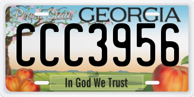 GA license plate CCC3956