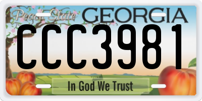 GA license plate CCC3981