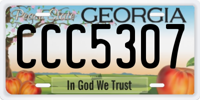 GA license plate CCC5307