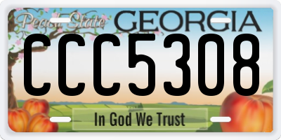 GA license plate CCC5308