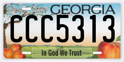 GA license plate CCC5313