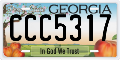 GA license plate CCC5317