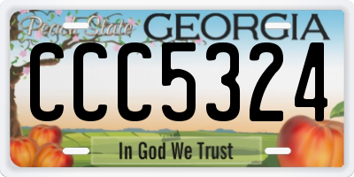 GA license plate CCC5324