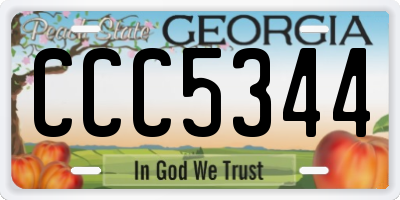 GA license plate CCC5344