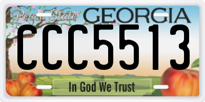 GA license plate CCC5513