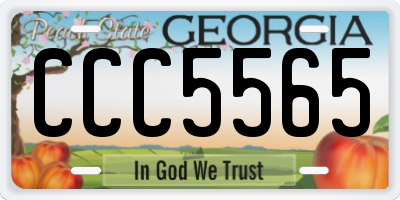 GA license plate CCC5565