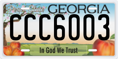 GA license plate CCC6003