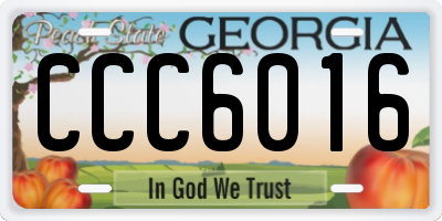 GA license plate CCC6016
