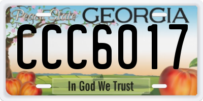 GA license plate CCC6017