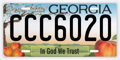GA license plate CCC6020