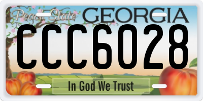 GA license plate CCC6028