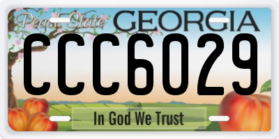 GA license plate CCC6029