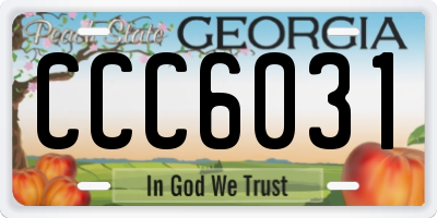 GA license plate CCC6031