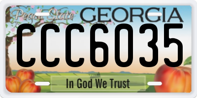 GA license plate CCC6035