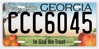 GA license plate CCC6045