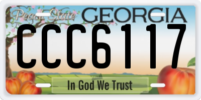 GA license plate CCC6117