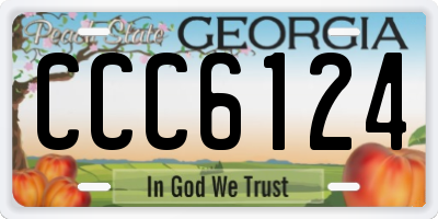 GA license plate CCC6124