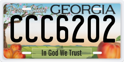 GA license plate CCC6202