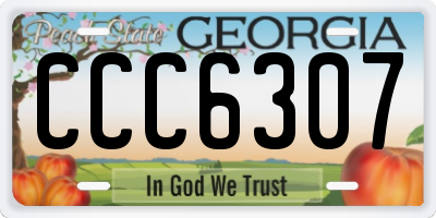 GA license plate CCC6307