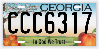 GA license plate CCC6317
