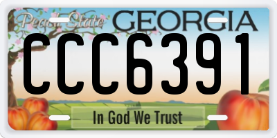 GA license plate CCC6391