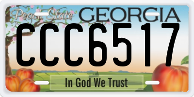 GA license plate CCC6517