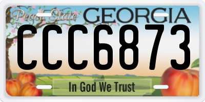 GA license plate CCC6873