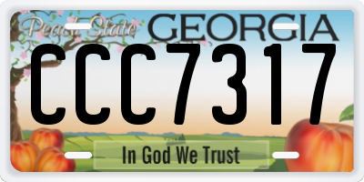 GA license plate CCC7317