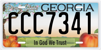 GA license plate CCC7341