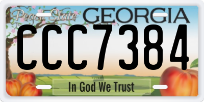 GA license plate CCC7384